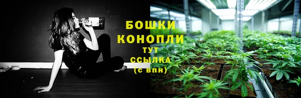 ГАЛЛЮЦИНОГЕННЫЕ ГРИБЫ Беломорск
