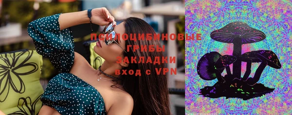 ГАЛЛЮЦИНОГЕННЫЕ ГРИБЫ Беломорск
