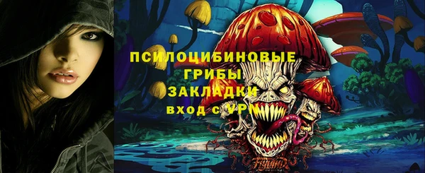 ГАЛЛЮЦИНОГЕННЫЕ ГРИБЫ Беломорск